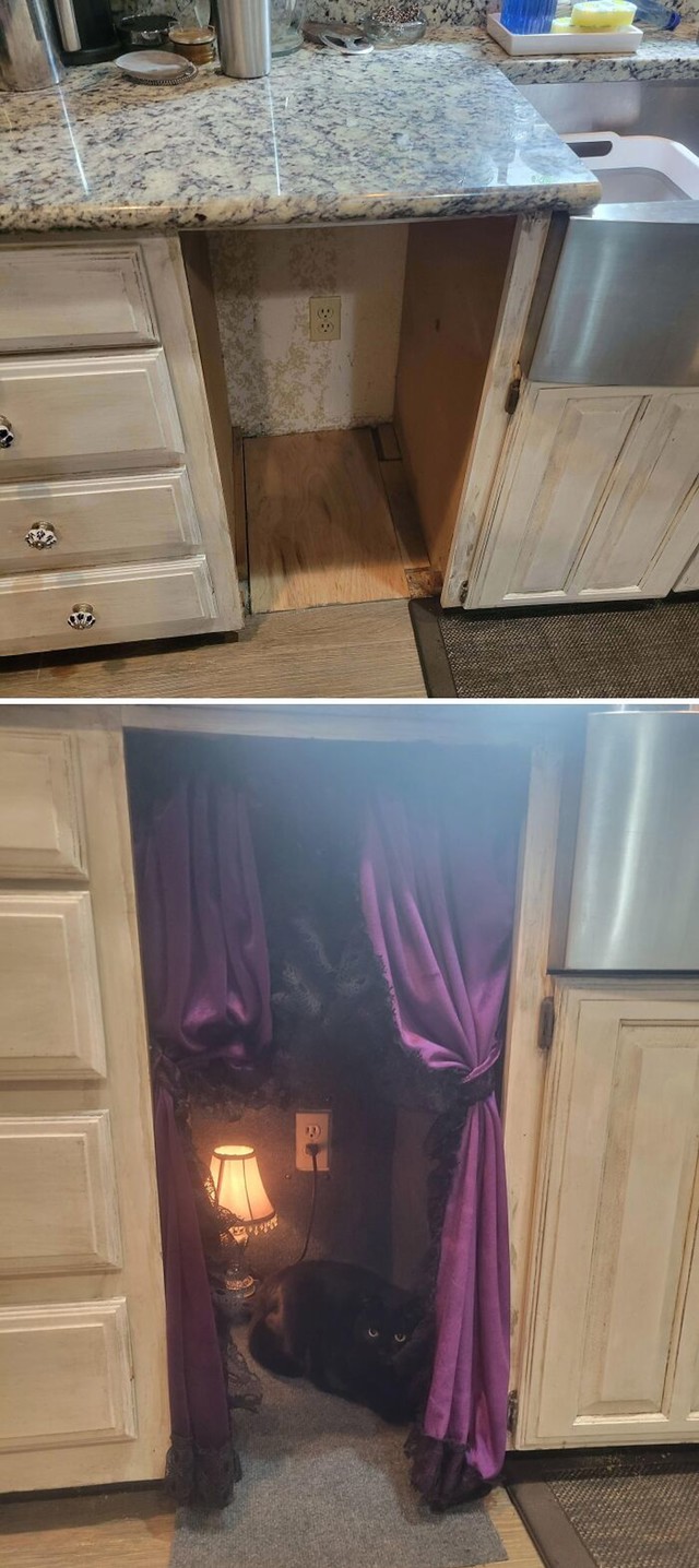 Apartman za mačku