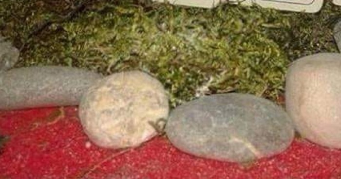 Detalj u jaslicama tipa iz Imotskog hit je u RH, morate vidjeti njegova tri kralja