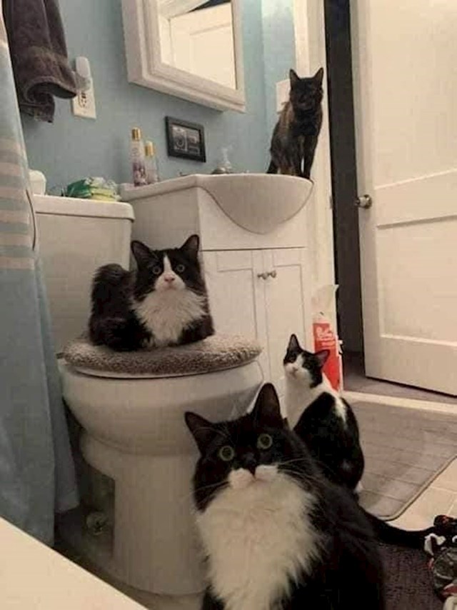 9.