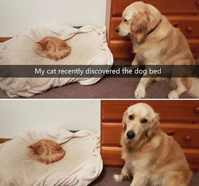 4.