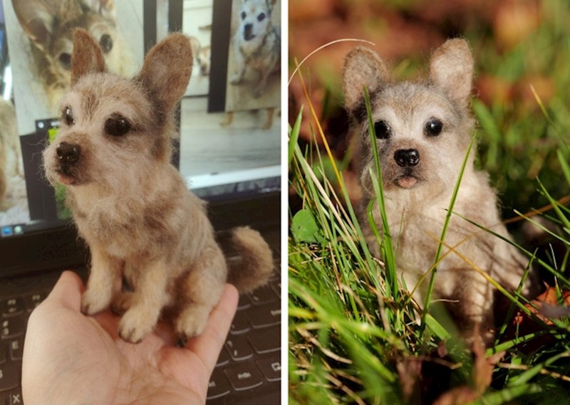 Tko bi rekao da ovo nije pravi pas?