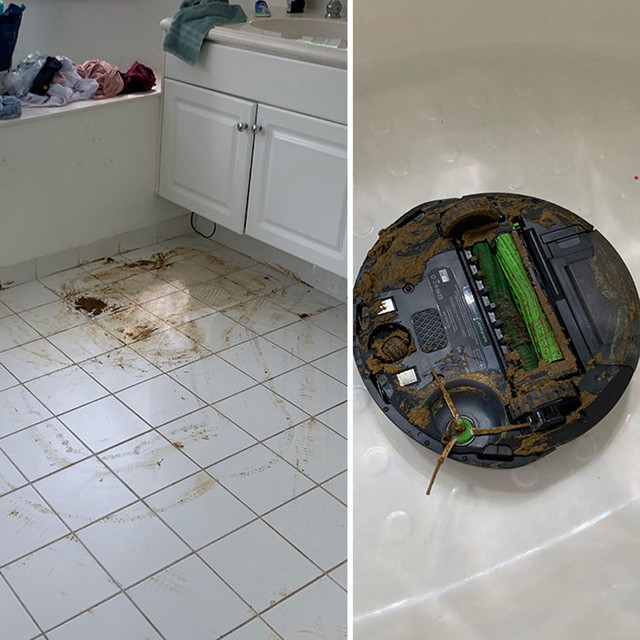 Roomba katastrofa