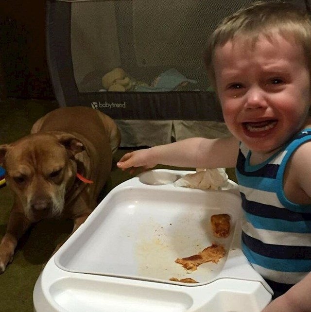 Zato što je gađao psa hranom i ona ju je pojela