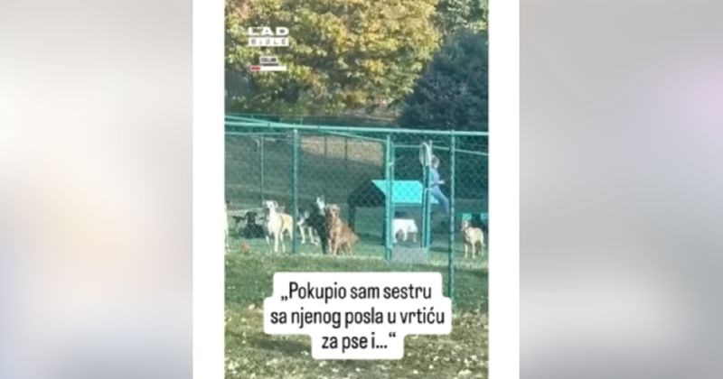 Cura radi kao čuvalica u vrtiću za pse, morate vidjeti kako je oni gledaju kada završava smjenu