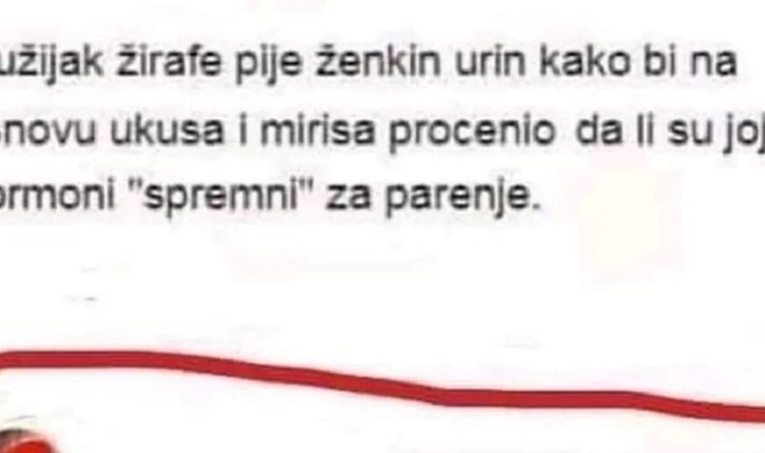 Netko je na FB-u podijelio zanimljivost o parenju žirafa, tip razvalio komentarom. Urnebesan je!