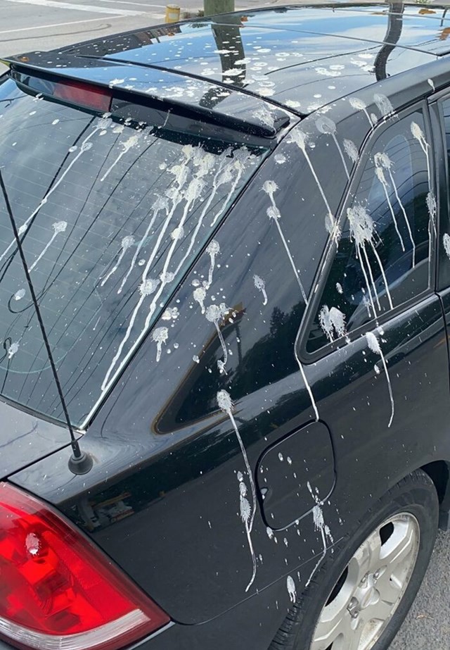 Doslovno sam prije 30 minuta oprao auto