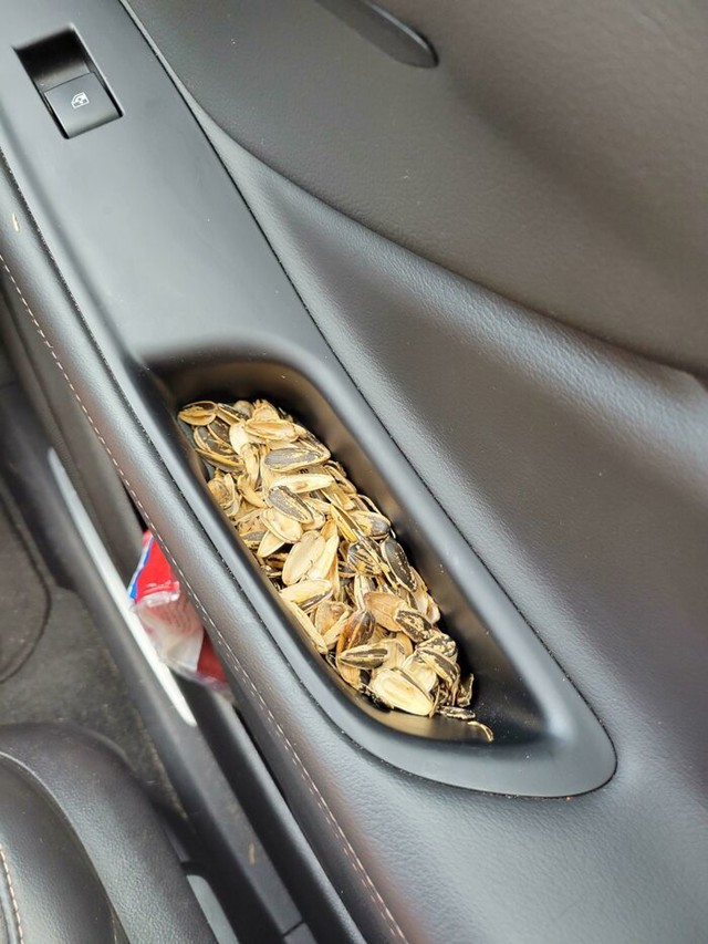 Koštice u kvaki automobila