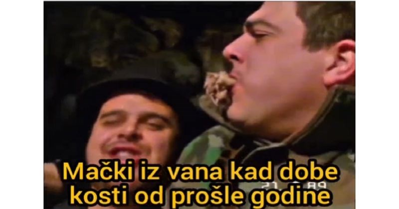 Snimka prikazuje razliku između kućnih i uličnih mački, "urnebesno" je preblaga riječ za ovu foru!