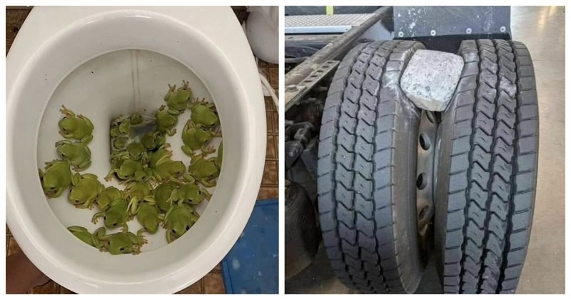 13 ljudi podijelilo je fotke neobičnih pehova koje nisu mogli zamisliti da će doživjeti