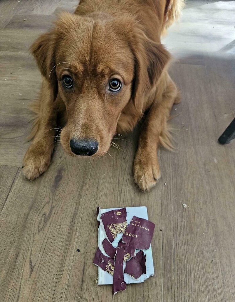 Za dva dana imam internacionalni let