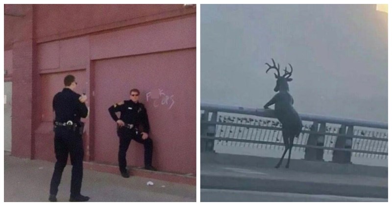 12 ljudi naišlo je na urnebesne prizore koje su jednostavno morali fotkati i pokazati svima