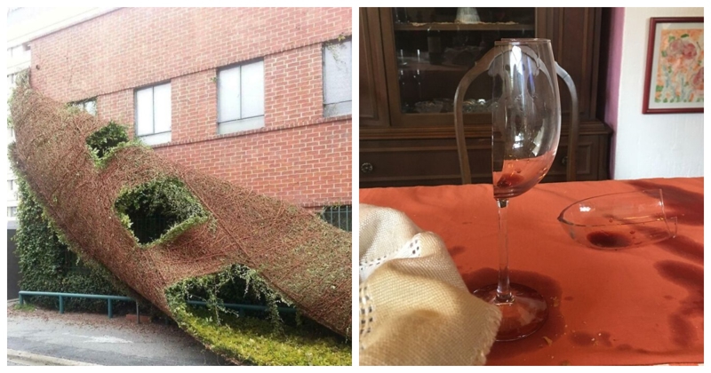 Ljudi dijele fotke bizarnih pehova koje su doživjeli, nećete znati koji od ovih 15 je luđi