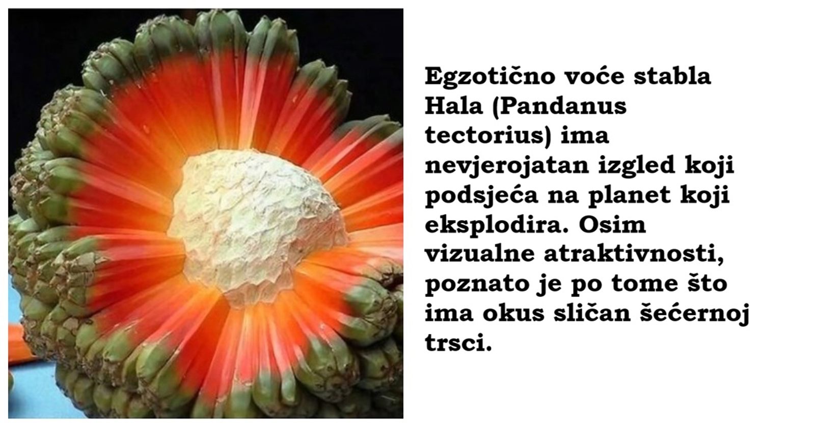 12 nevjerojatnih činjenica o svijetu koje će vas potpuno iznenaditi