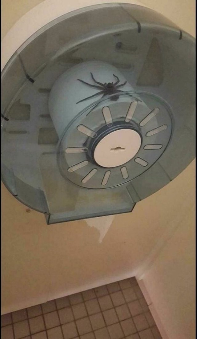 10.