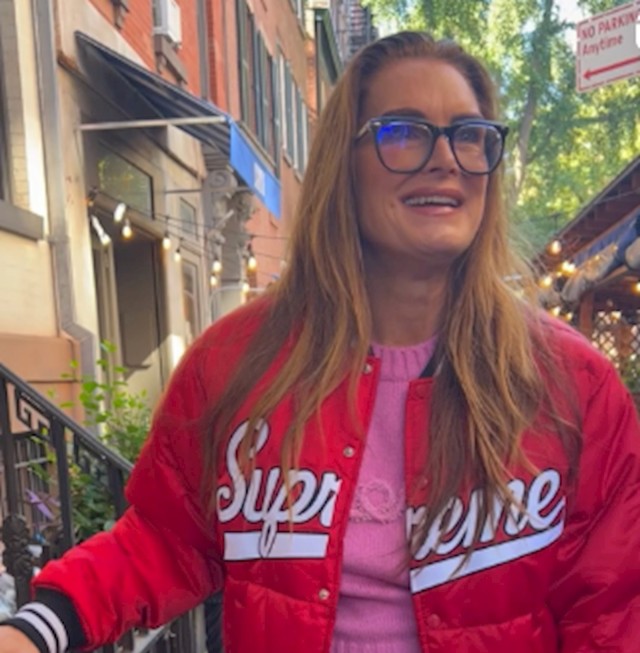 Brooke Shields, diplomirala francusku književnost