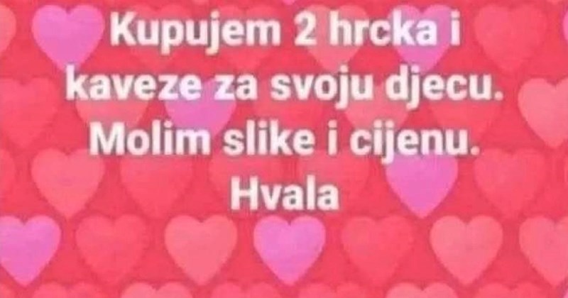 Na Fejsu je tražila kavez za hrčke, sad se svi smiju ovom komentaru zbog komičnog nesporazuma