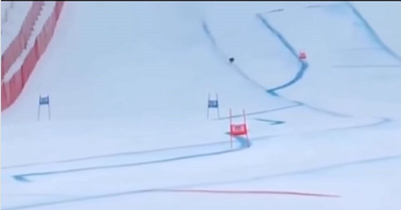 Na skijašku stazu uletio je neobični kandidat! Postao je hit Olimpijade i ukrao srca gledatelja