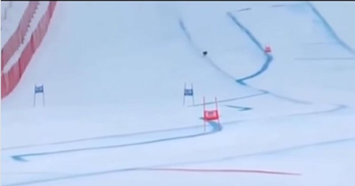 Na skijašku stazu uletio je neobični kandidat! Postao je hit Olimpijade i ukrao srca gledatelja