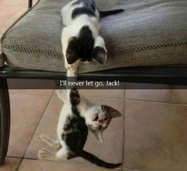15.