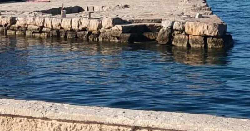 Simpatični prizor s mora ima tisuće lajkova na Fejsu, morate vidjeti dalmatinsku verziju Baywatcha