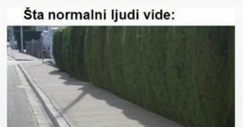 Fora o trotoaru i balkanskim vozačima hit je u regiji, morate vidjeti