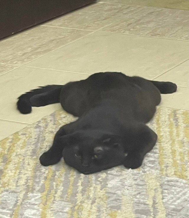 Htio sam ga sastaviti, ali se rastopio