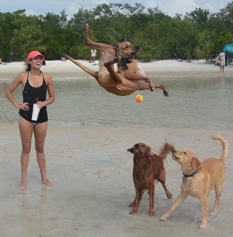 8. "Definitivno najbolja slika s odmora!"