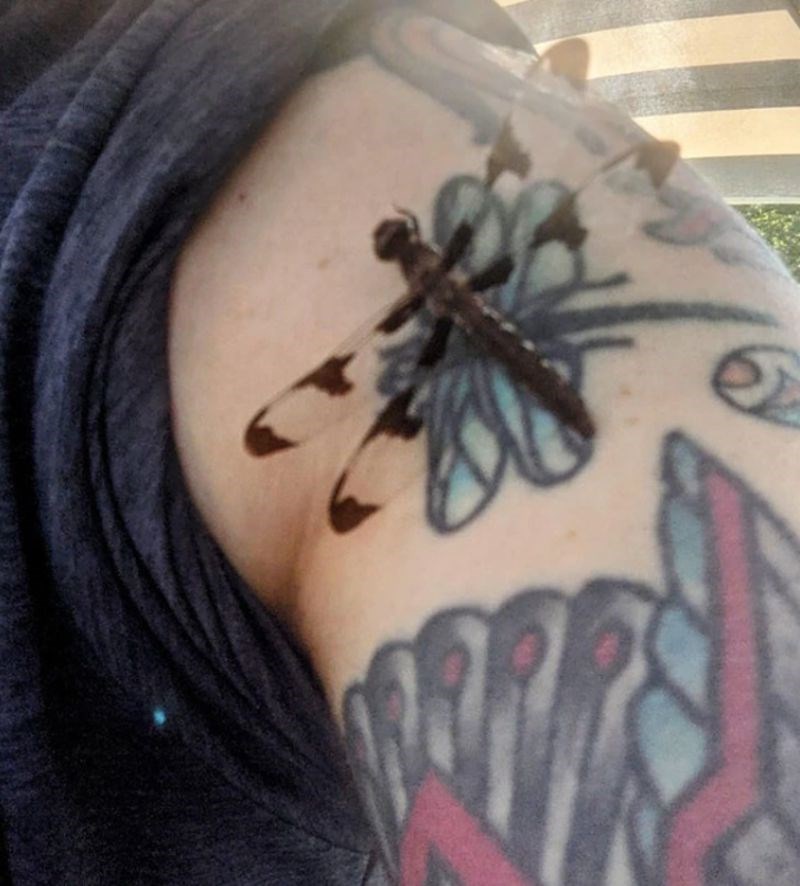 7. "Šanse da se ovako nešto dogodi su male, ali nikad nije nemoguće."