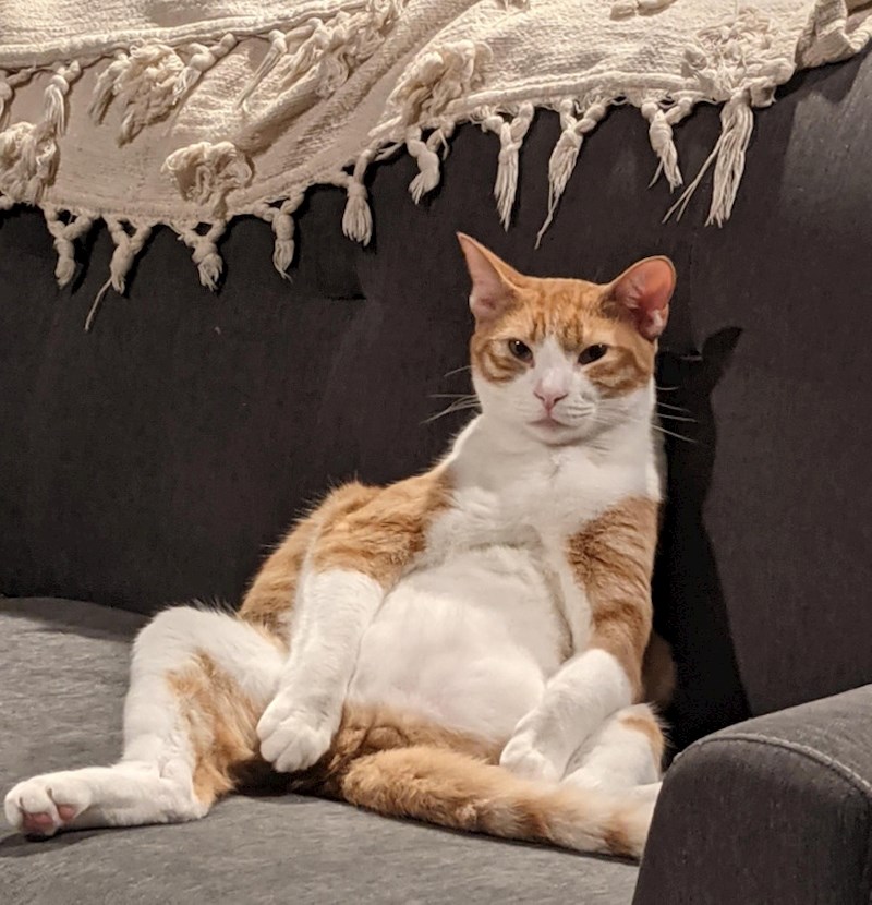 2. Izgleda kao roditelj koji će prozvati neposlušno dijete