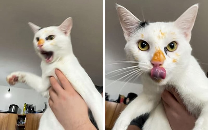 Nema šanse da nekoga uvjeri da nije kriv