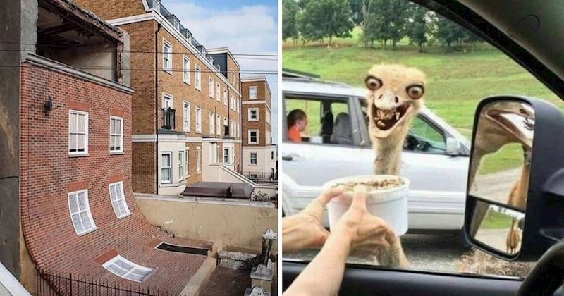 20+ fotografija koje postaju sve čudnije što ih dulje gledate. Neke će vam izazvati nelagodu