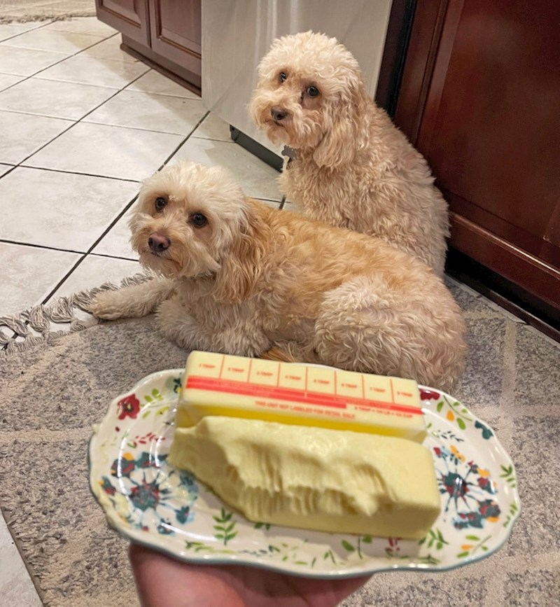 7. Netko od njih je skočio na stol i otkinuo malo maslaca