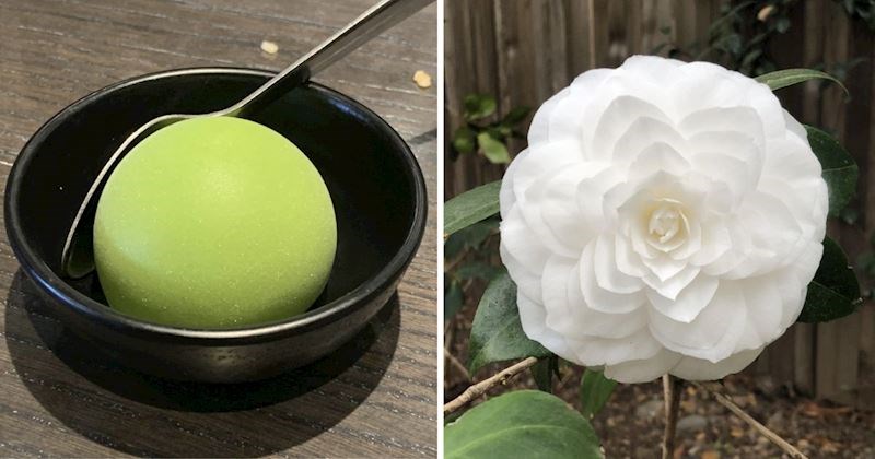 10+ gotovo savršenih prizora zbog kojih će perfekcionist u vama vrištati od sreće, pogledajte fotke