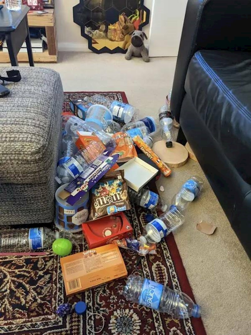 14. "Nikad, ali nikad ne posprema za sobom i smeće ostavlja svuda po kući"