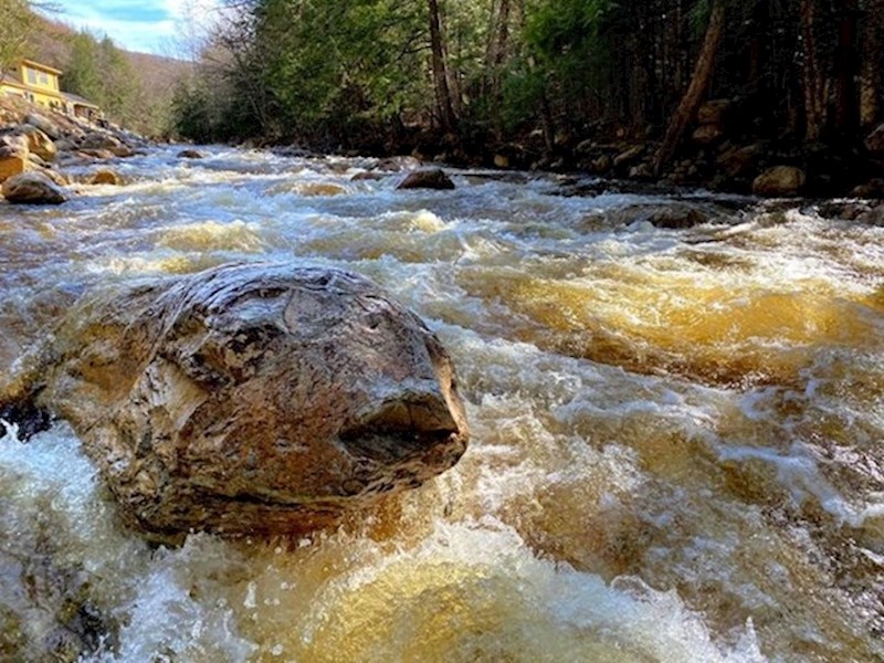 Kolika riba? Ne, to je samo kamen...