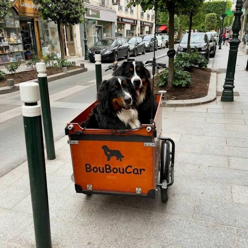 3. Zamislite samo vidjeti ovaj prizor u gradu 😍