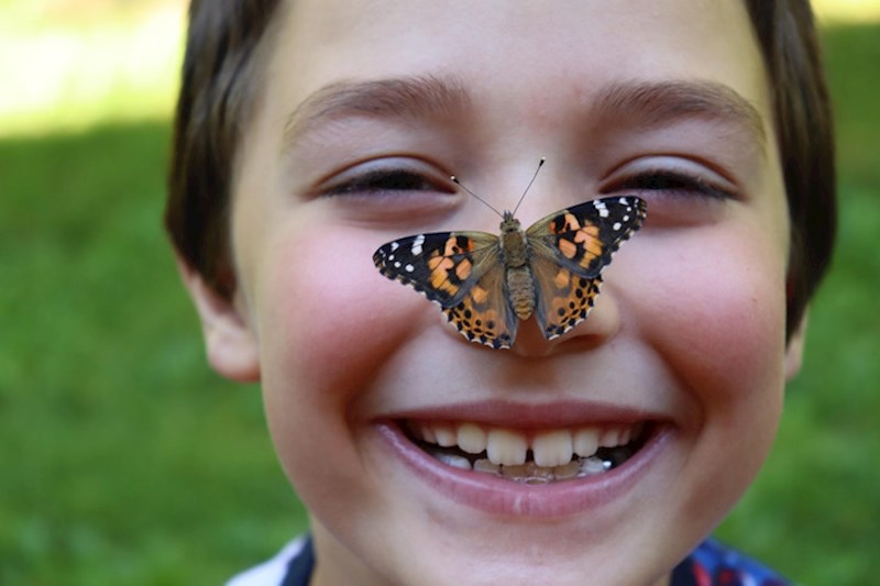 "Leptir je sletio mom sinu na nos i toliko sam sretna što sam uspjela sve uslikati!"