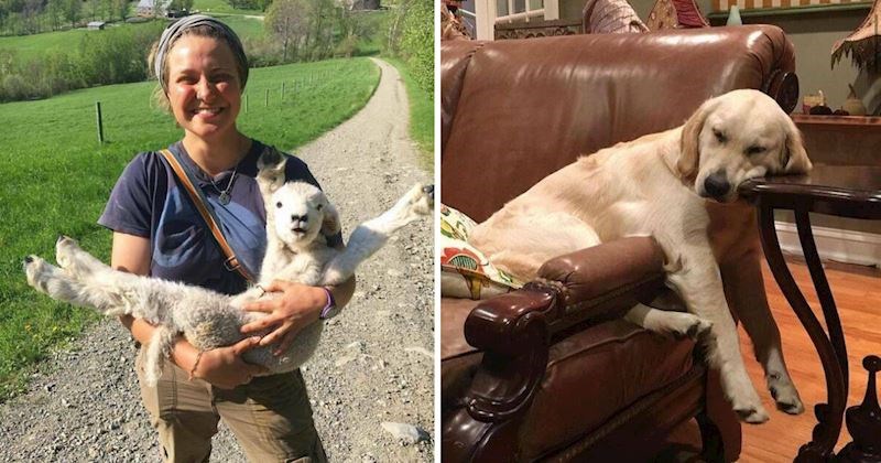 15 simpatičnih fotografija životinja koje potpuno zrače pozitivom, izmamit će vam osmijeh na lice