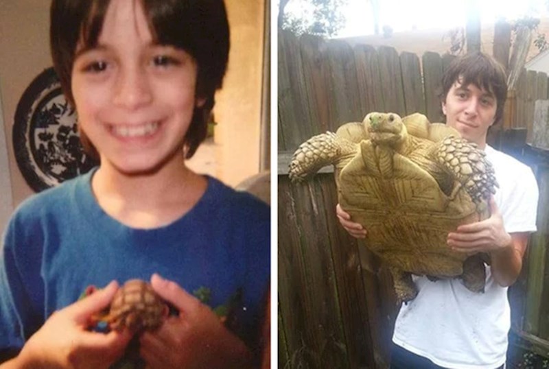 "Moja kornjača i ja"