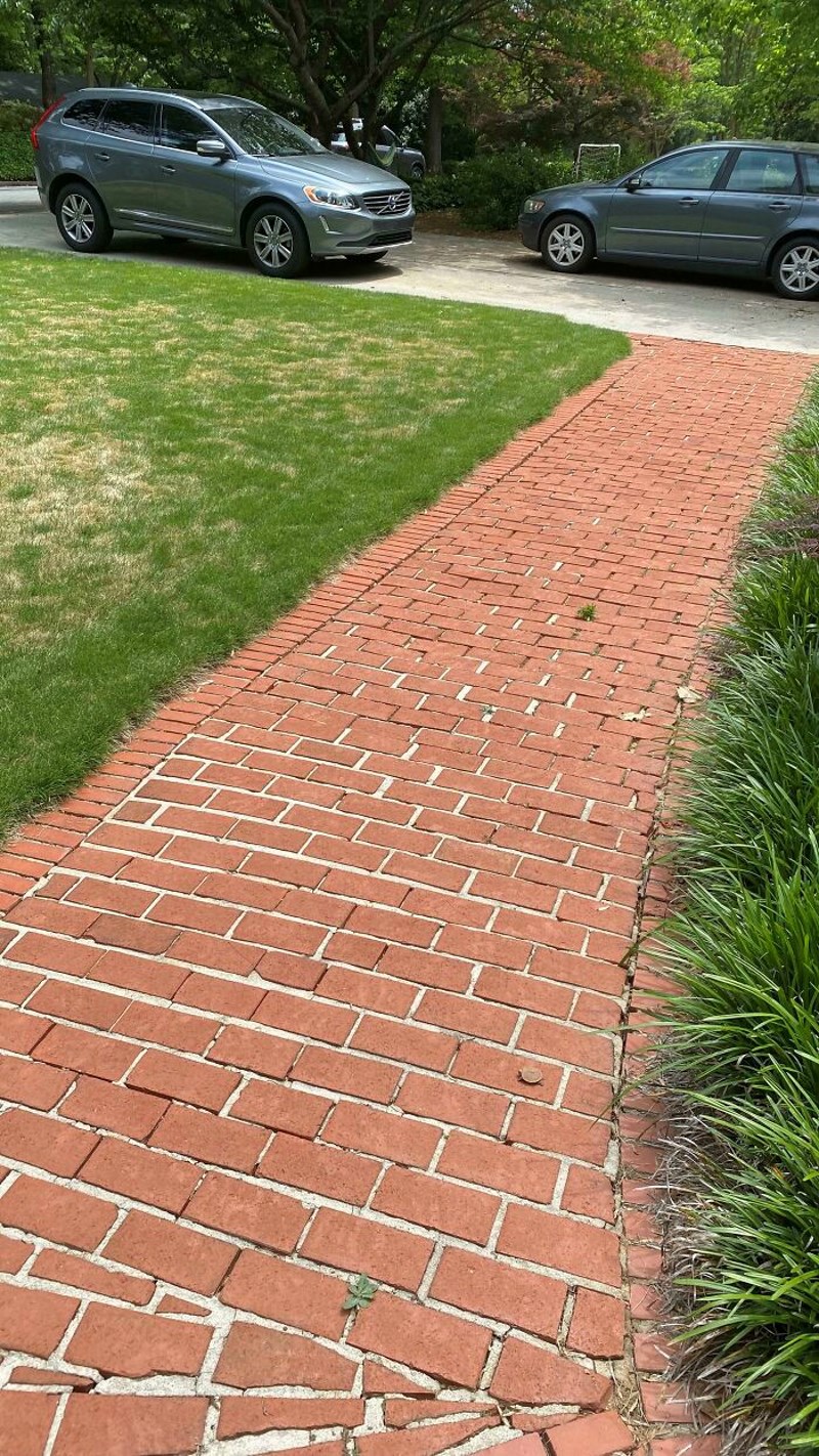 Negdje na ovoj fotki se nalazi mala životinja, vidite li o kojoj je životinji riječ?