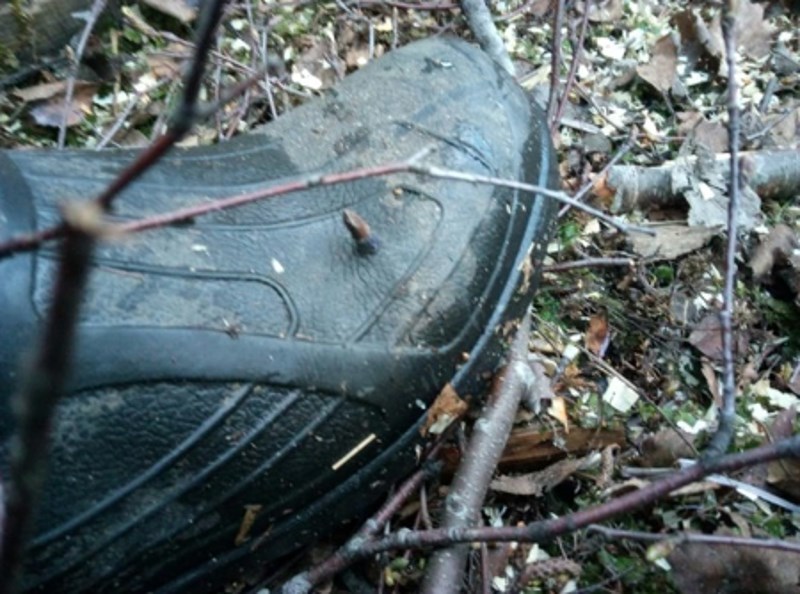 "Ovo je zamalo bilo u mom prstu."