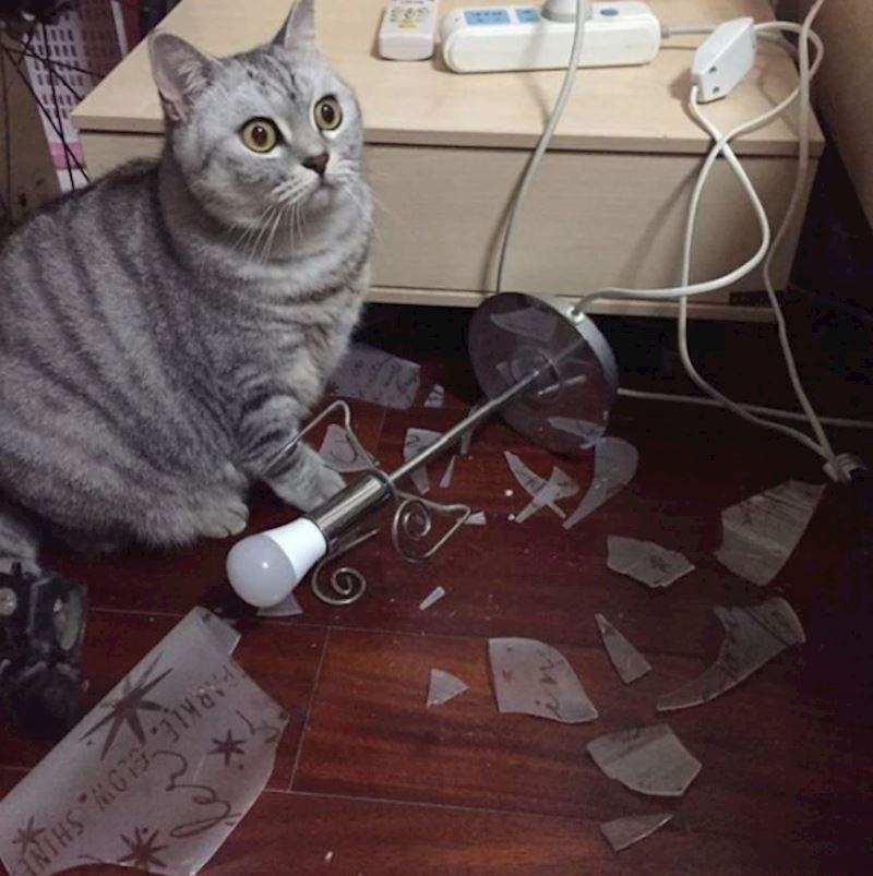 Nije planirao ovakav rasplet događaja