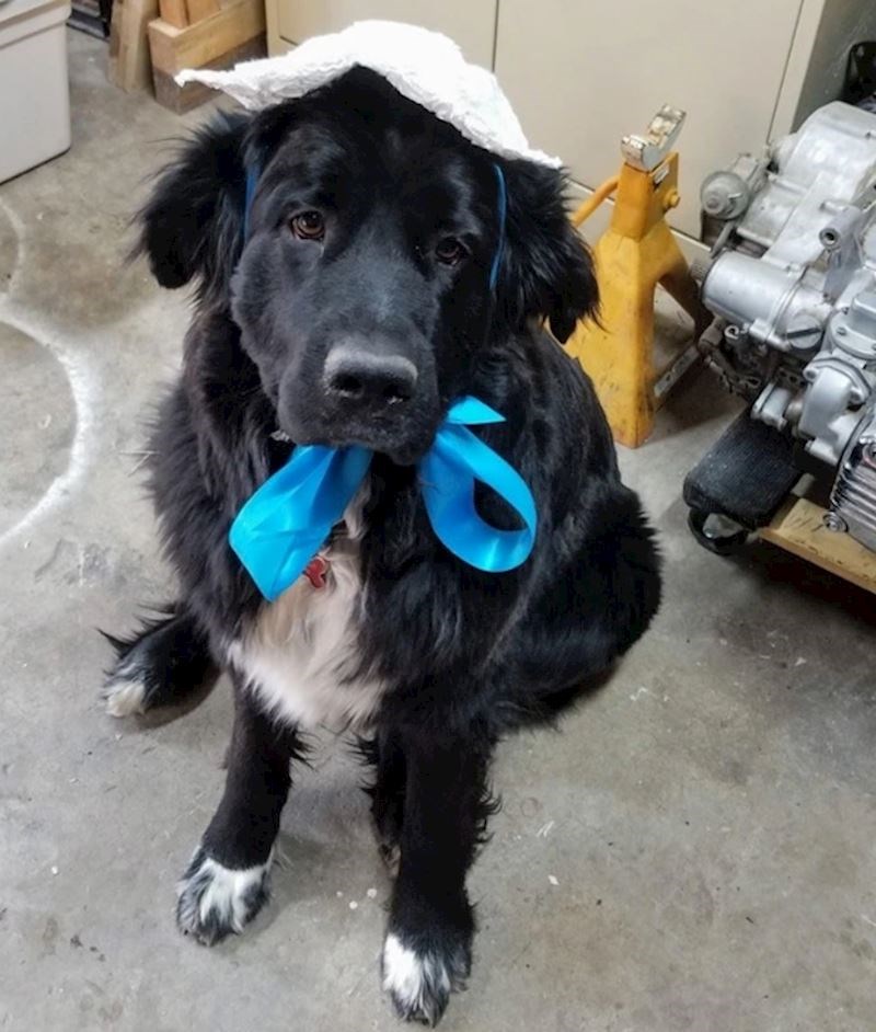 12. "Glumila" je Nanu u dječjoj predstavi