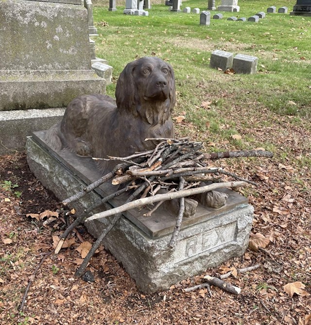 "Umjesto cvijeća, ljudi na ovom grobu ovog psa ostavljaju drvene štapove kako bi se vječno igrao iza duge."