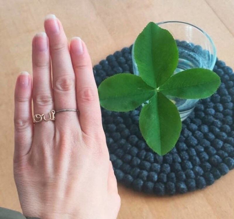 "Nisam mogla vjerovati kad sam pronašla ovu veliku djetelinu - i to još s četiri lista. To ja zovem srećom!"