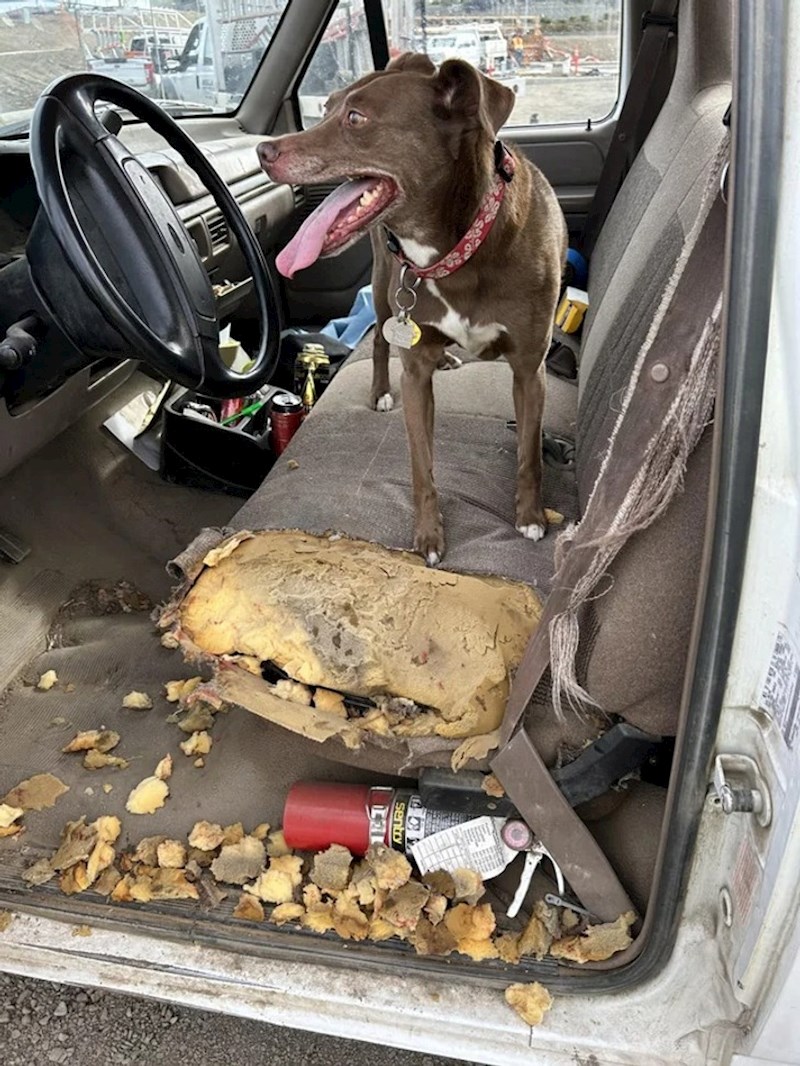1. "Očito mu je bilo dosadno dok me čekao pa se poslužio..."