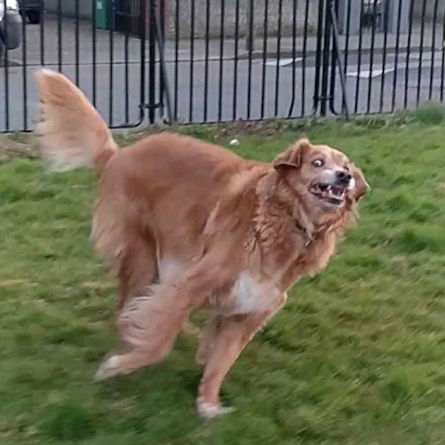 10.