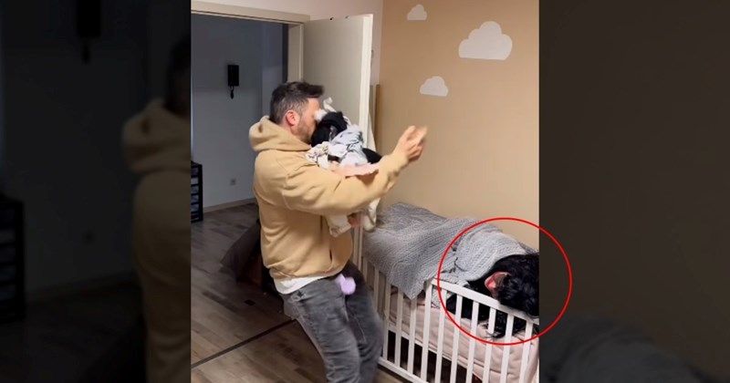 Žena je snimala urnebesne reakcije muža svaki put kad bi ga uplašila, video će vas nasmijati do suza