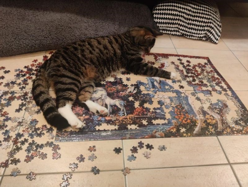 6. "Od svih igračaka u kući, njoj su sad jako zanimljive puzzle"