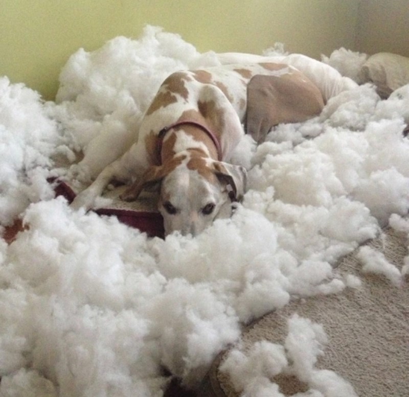 "Ona kao da misli da sam blesava i da su ovo oblaci, a ne rastrgani krevet."